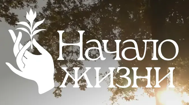 Снимок экрана — 2026-09-14 в 16.47.18.png
